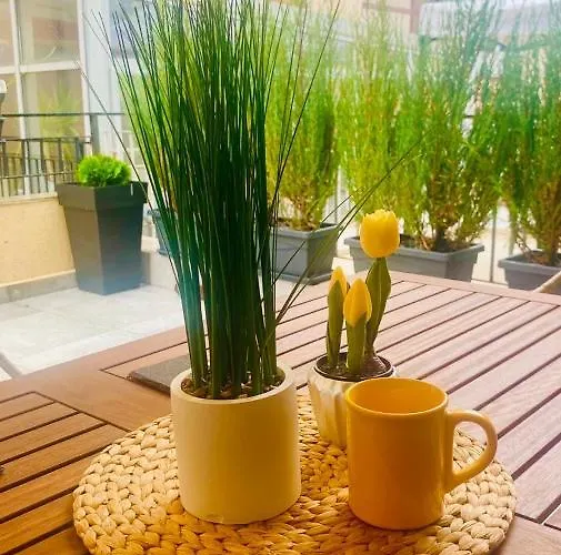 Apartment Burgas Apartment *